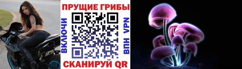 Купить закладки  Канск  Галлюциногенные грибы Psilocybine cubensis 